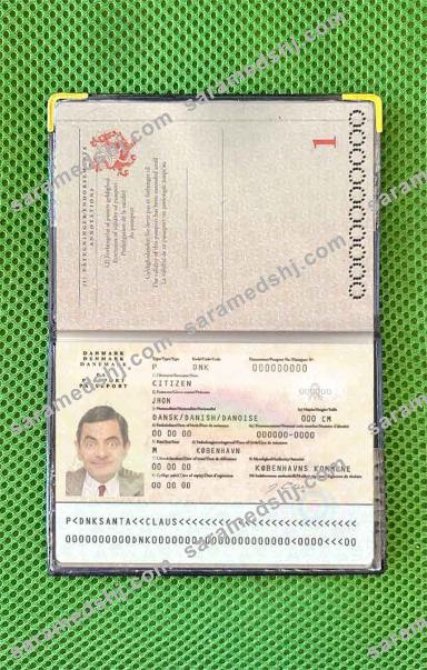 Denmark passport photo look
